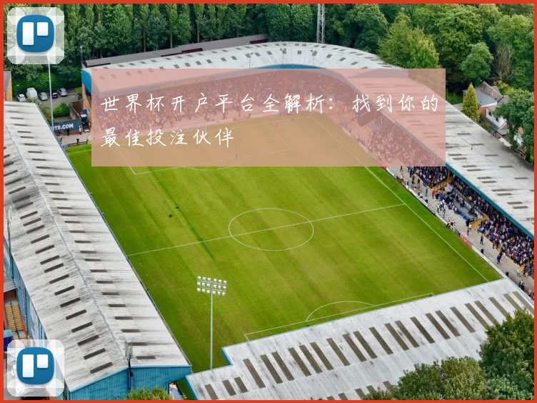 世界杯开户平台全解析：找到你的最佳投注伙伴