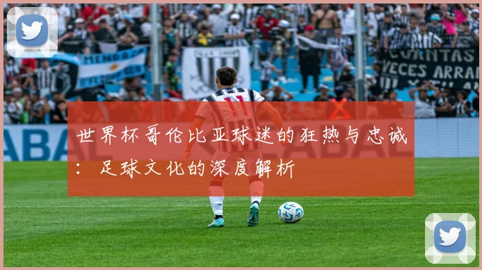 世界杯哥伦比亚球迷的狂热与忠诚：足球文化的深度解析
