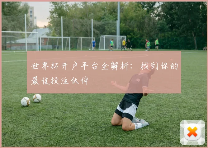 世界杯开户平台全解析：找到你的最佳投注伙伴