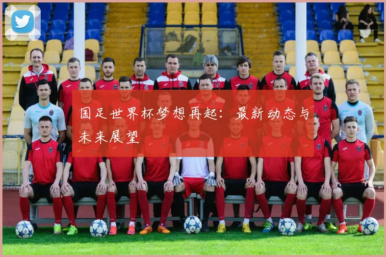 国足世界杯梦想再起：最新动态与未来展望