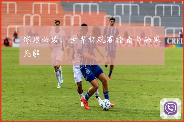 球迷必读：世界杯观赛指南与独家见解