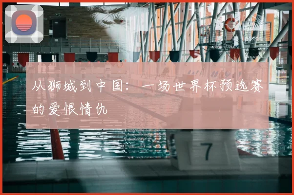从狮城到中国：一场世界杯预选赛的爱恨情仇