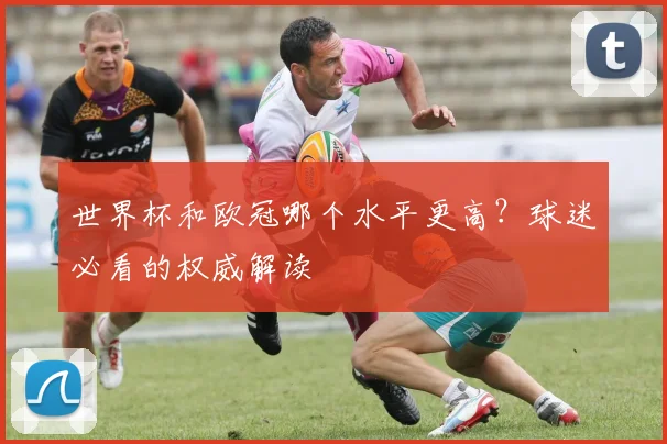 世界杯和欧冠哪个水平更高？球迷必看的权威解读