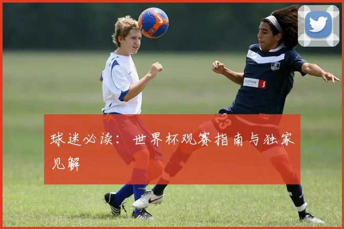 球迷必读：世界杯观赛指南与独家见解