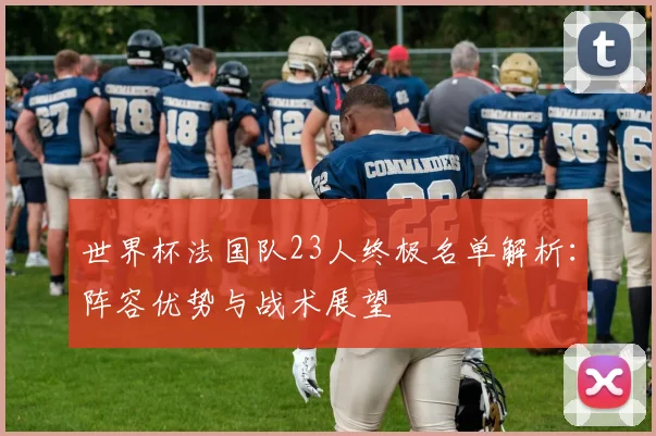 世界杯法国队23人终极名单解析：阵容优势与战术展望