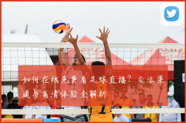 如何在线免费看足球直播？合法渠道与高清体验全解析