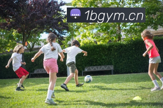 App Interface Preview