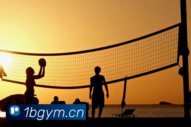 米兰官方网站入口APP 封面图